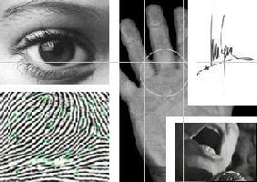 biometria1